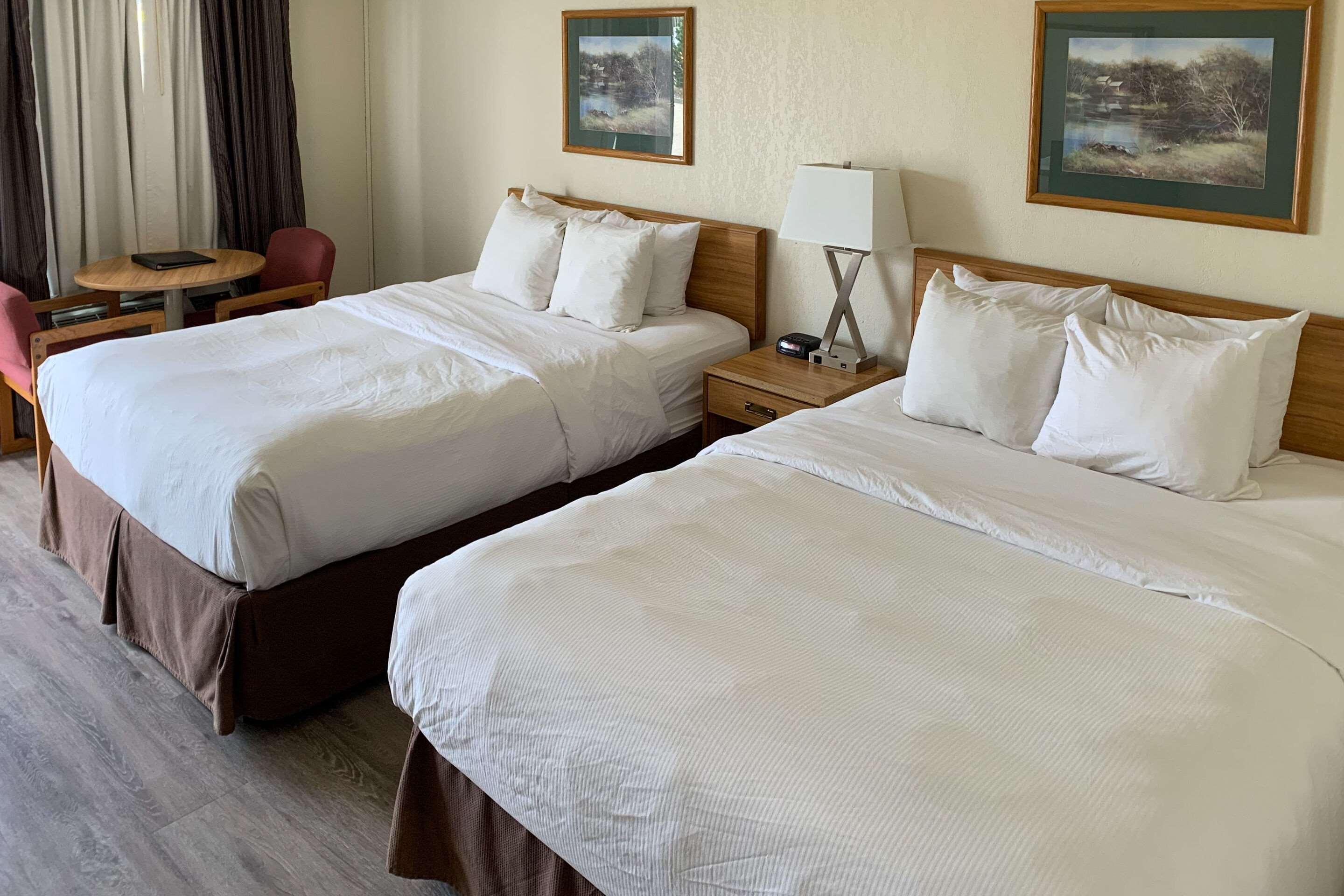 Comfort Inn & Suites Middletown - Franklin Extérieur photo